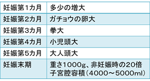 胎児の成長による母体の負担の大きさ